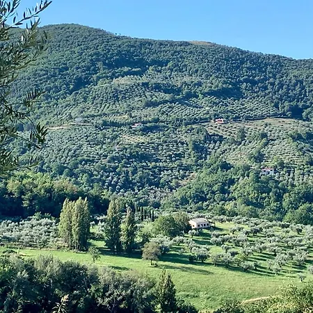 Agriturismo La Terrazza su Farfa-2